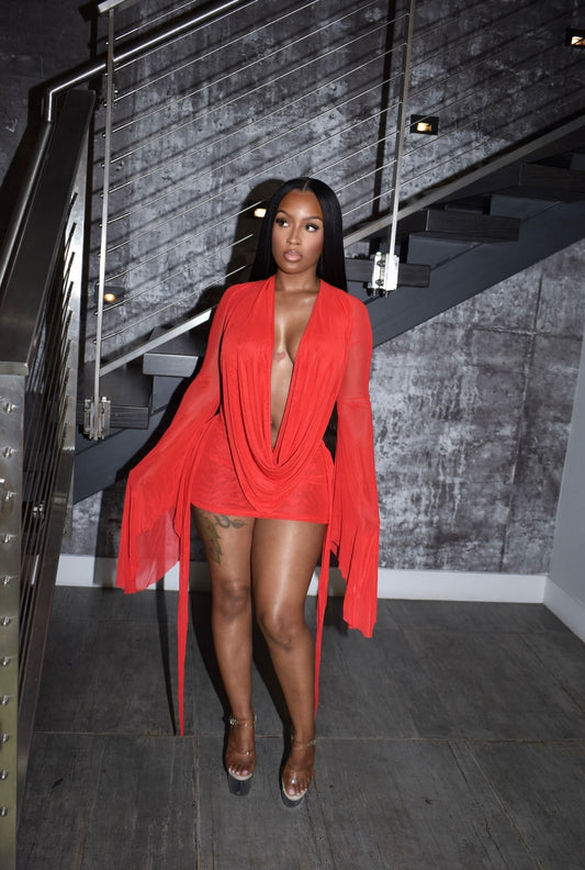 BLUSH MINI DRESS (RED)